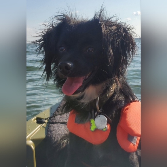 Meet LT Toby - Picture 6 of 13